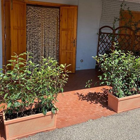 Umbria Vacanze Apartment Stroncone Екстериор снимка