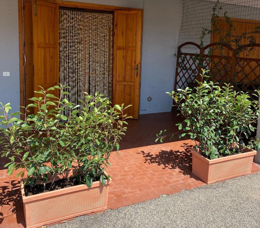 Umbria Vacanze Apartment Stroncone Екстериор снимка